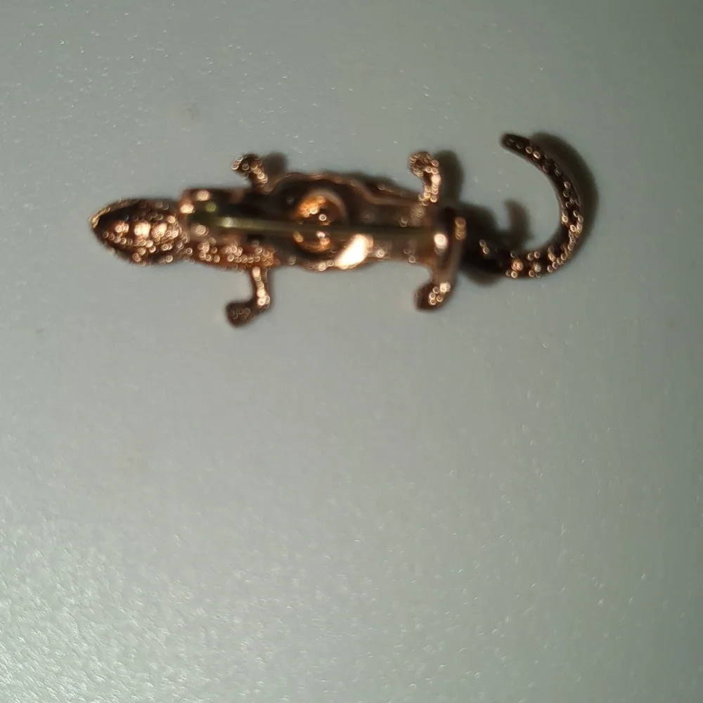 Bronze Lizard Pin - Picture 3 of 3